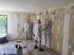 Best Water Damage & Mold Remediation  in Avodo Heights, CA